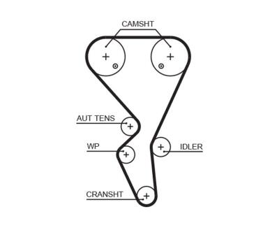 K025581XS (7883-11404)  Комплект ременя ГРМ GATES POWERGRIP KIT
