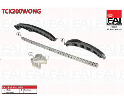 TCK200WONG FAI Ланцюг ГРМ, комплект