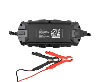 Зарядний пристрій АКБ WINSO PRO 8LEDs 4A, 6V/12V, 4-120Ah